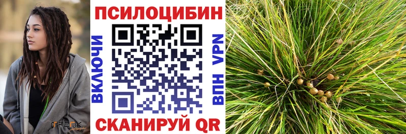 где купить наркоту Велиж Галлюциногенные грибы MAGIC MUSHROOMS